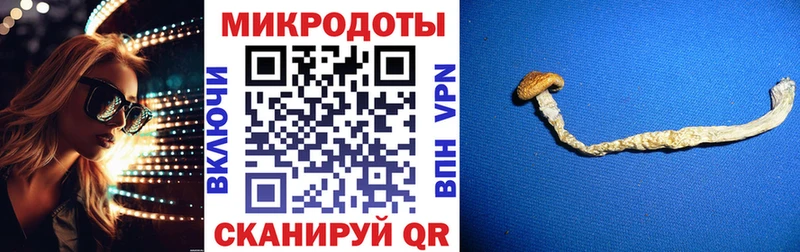 kraken ТОР  Кострома  Галлюциногенные грибы мицелий  сколько стоит 